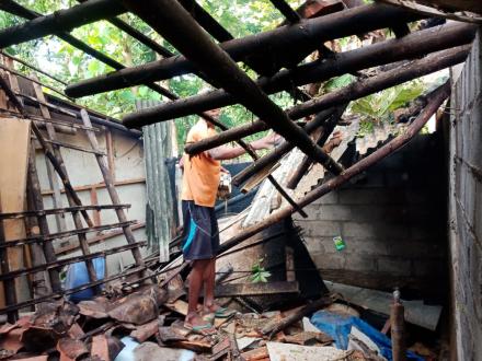 Pohon Tumbang Menimpa Dapur Rumah Warga Pedukuhan Ngrancah