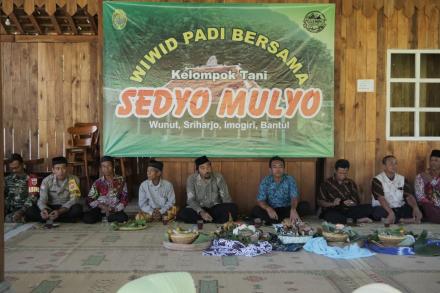  Wiwit Padi Kelompok Tani Sedyo Mulyo