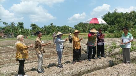 Tanam Bawang Merah Sebagai Optimalisasi Tanah Kas Desa