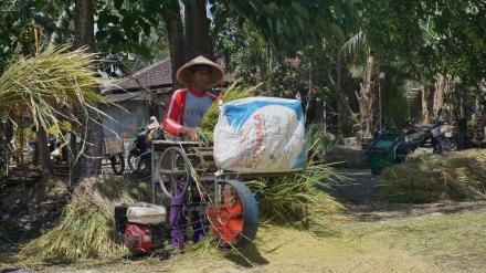Optimalisasi Pemangfaatan Tanah Kas Desa untuk Warga Miskin